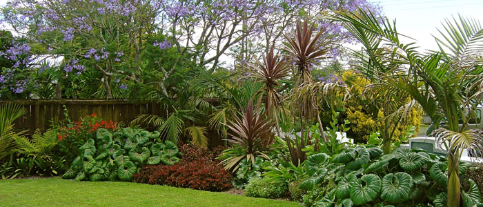 Go Gardening - Helping New Zealand Grow - Garden Inspiration, tips and ...