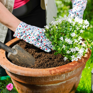 Simple steps you can take to make gardening safer - image credit shutterstock.com/JariHindstroem