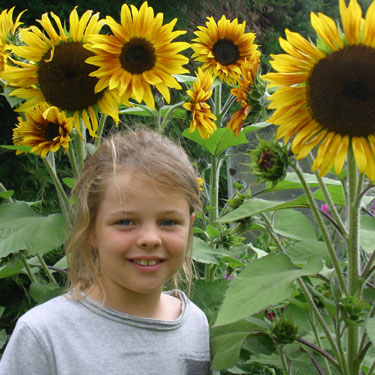 Kids Go Gardening - how to grow sunflowers 